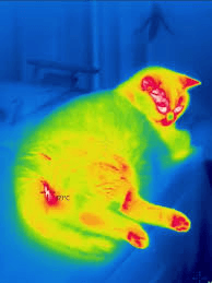 HeatVision Pro screenshot 2